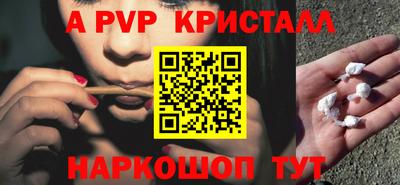 тгк Кингисепп