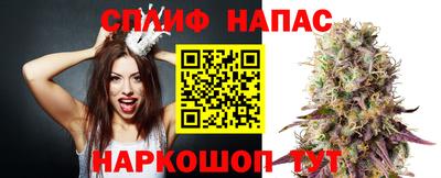 тгк Кингисепп