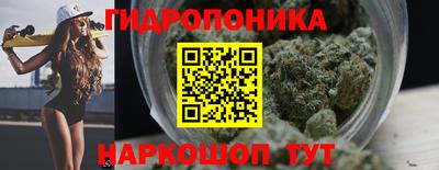 тгк Кингисепп