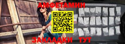 тгк Кингисепп