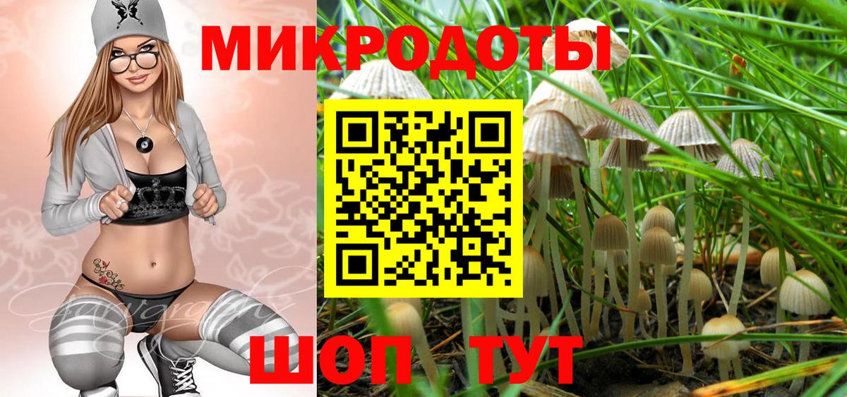 сколько стоит  Вход с VPN  Биробиджан  Псилоцибиновые грибы мицелий  Галлюциногенные грибы Psilocybe 