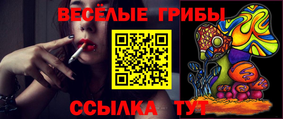 Псилоцибиновые грибы мухоморы Биробиджан